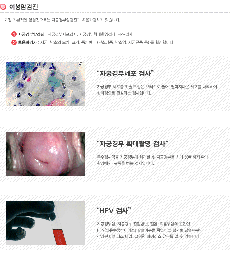�ڱð�ξϰ���(�ڱð�μ������˻�,�ڱð��Ȯ���Կ��˻�,HPV�˻�). �����İ˻�(�ڱ�,������ ���,ũ��,���翩�� Ȯ��)